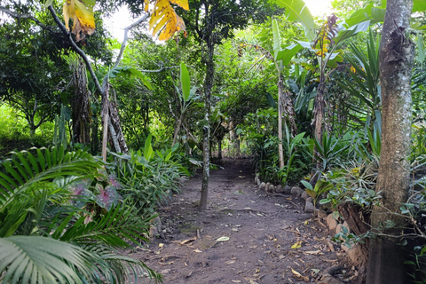 Cusco: 2-Day Coffee & Cacao Farm Stay Experience