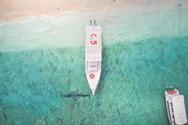 Bali: Private Snorkeling at Manta Point Nusa Penida Round Transfer Bali Island