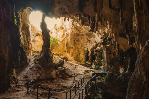 Krabi halvdagsutflykt ekotur Mangrove båttur &amp; Khanap Nam Cave