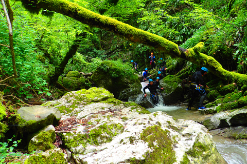 Talloires: Geführte Canyoning-Erfahrung in der Angon-SchluchtEntdecke die Angon-Schlucht in Annecy, Haute-Savoie