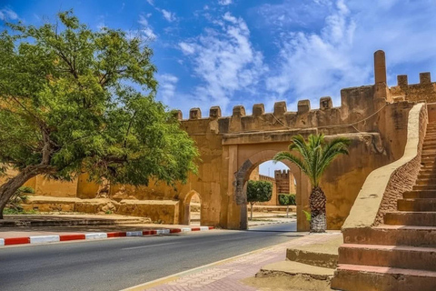 From Agadir: Taroudant and Tiout Oasis Day Trip with Lunch