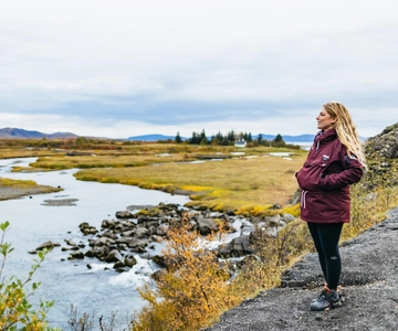 Reykjavik: Circuito Dourado, Kerid e Fridheimar Excursão de Minibus