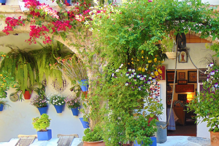 Cordoue : visite privée exclusive des patios de Cordoue