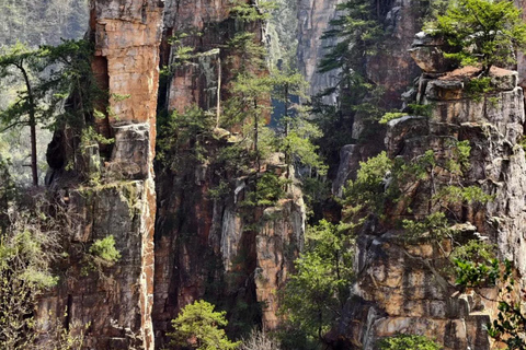 Zhangjiajie 3-Day Tour: Tea Garden, National Forest Park