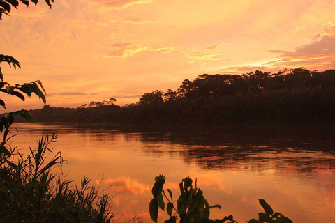 Découvrez le festival de la plume à l&#039;argilière de Chuncho