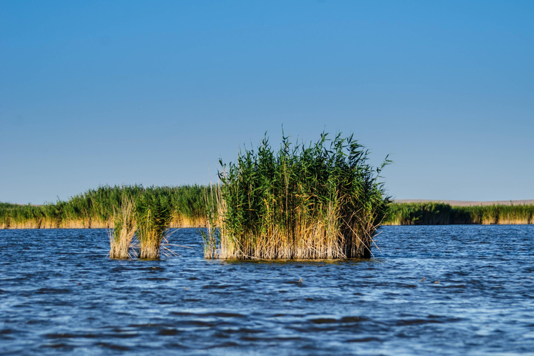 Depuis Bucarest : Excursion d&#039;une journée dans le delta du Danube