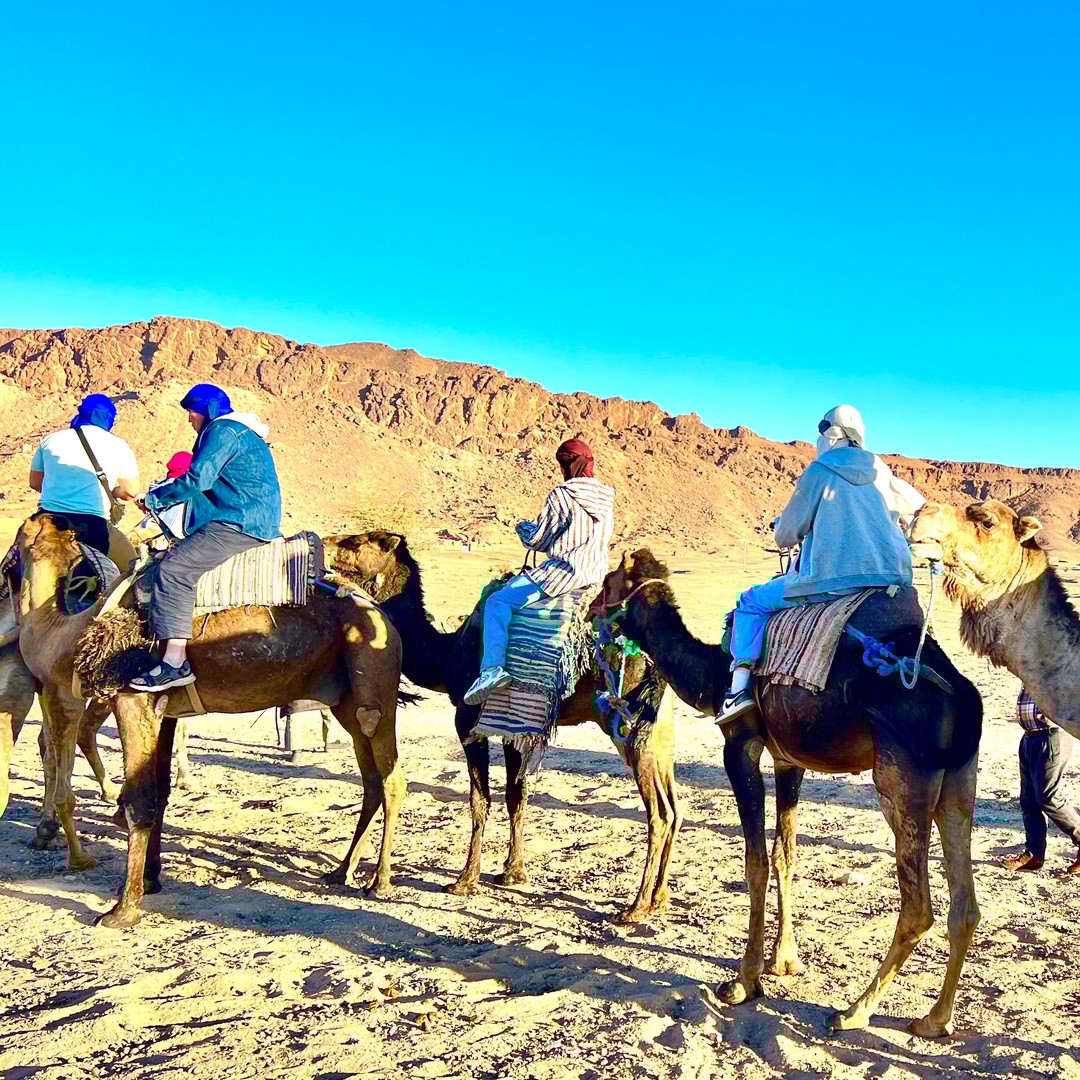 Au départ de Marrakech : Safari de 2 jours dans le désert de Zagora avec repas et campement - dromadaire
