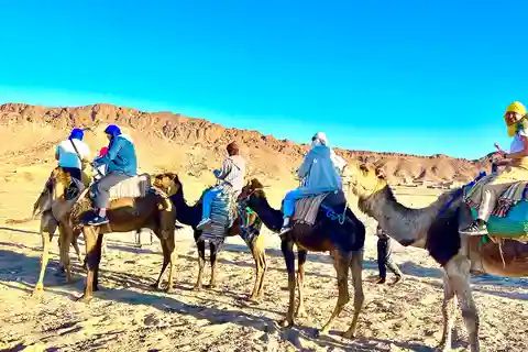From Marrakech: 2 Days Zagora Desert Safari with Food & Camp