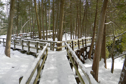 Toronto: Winter Hike to Rattlesnake Point and Crawford Lake