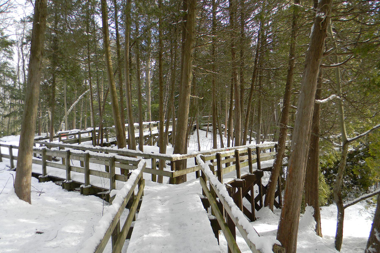 Winterwanderung zum Rattlesnake Point RV-Motorhome Tour