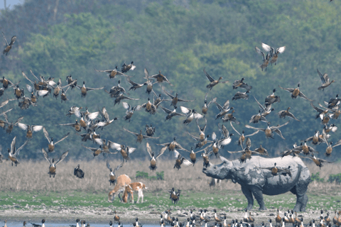 Jaipur: Bharatpur Bird Sanctuary Day Trip with Transfer