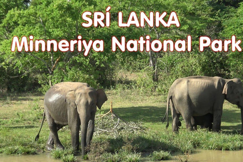 Sri Lanka: 15-Day Grand Tour With Vacation Time