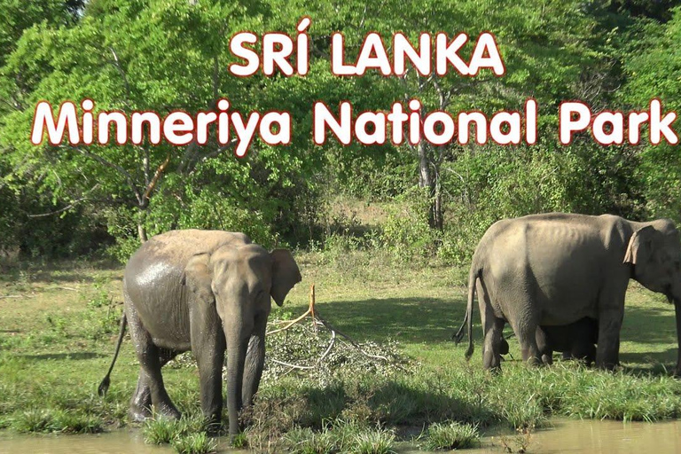 Sri Lanka : 4-Day Culture Triangle Tour with 3 Nights 4 Days