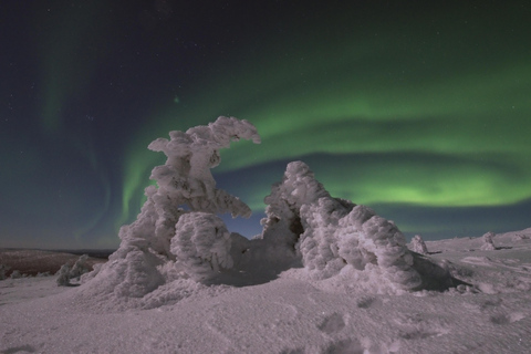 Kittilä: Northern Lights Sled Ride with Snowmobile