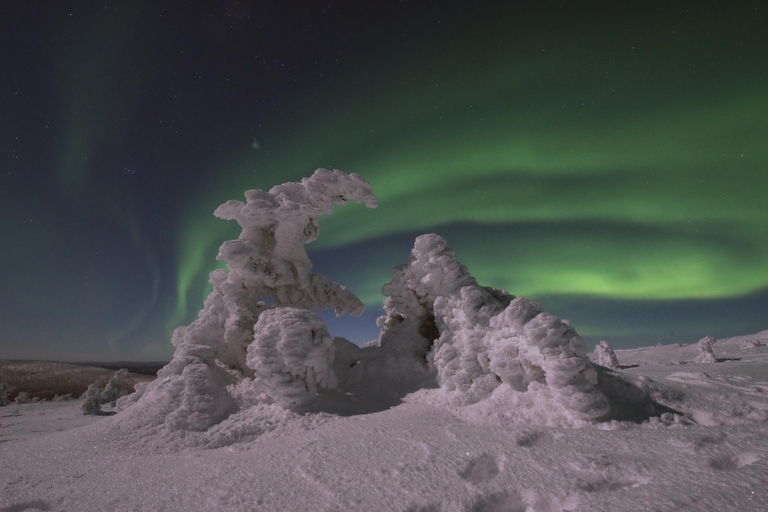 Kittilä: Northern Lights Sled Ride with Snowmobile