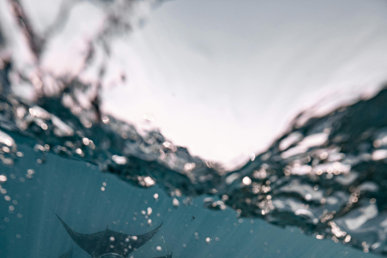 From Bali: Private Boat Nusa Penida 3-Spots Manta Snorkeling Start from Bali with Meeting Point at Sanur Port