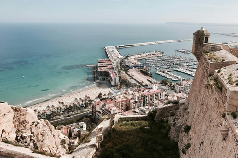 Alicante: Private Guided Tour with Transport