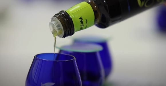 OleoAlmanzora: Guided tour + Masterclass of EVOO tasting Eng