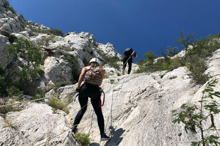 Monterrey: Nido de los Aguiluchos Expedition