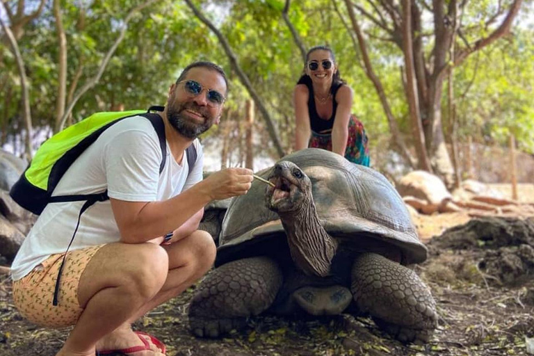 Zanzibar: Turer till fängelseön, stenstaden och Nakupenda Beach