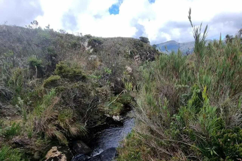 Le páramo, source d&#039;eau et gardien de la vie - RandonnéePáramo, source d&#039;eau et gardien de la vie - Randonnée