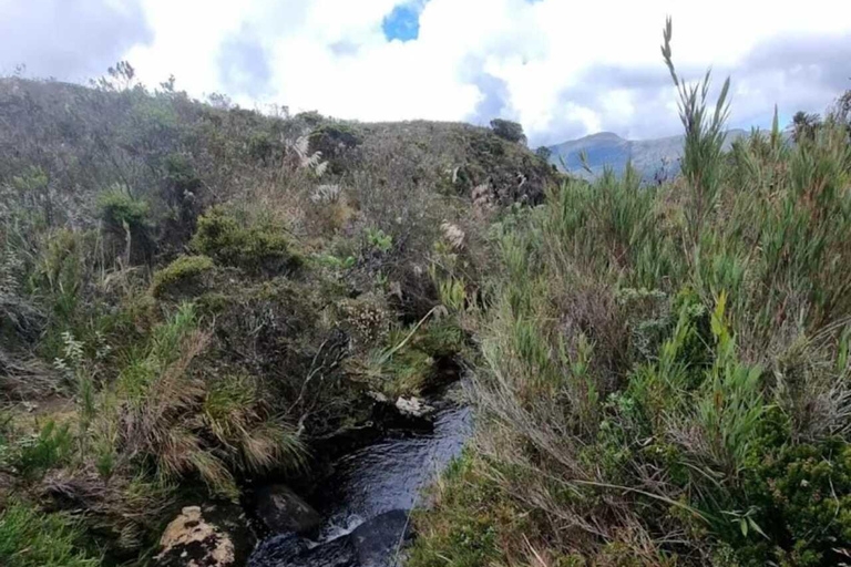 Le páramo, source d&#039;eau et gardien de la vie - RandonnéePáramo, source d&#039;eau et gardien de la vie - Randonnée