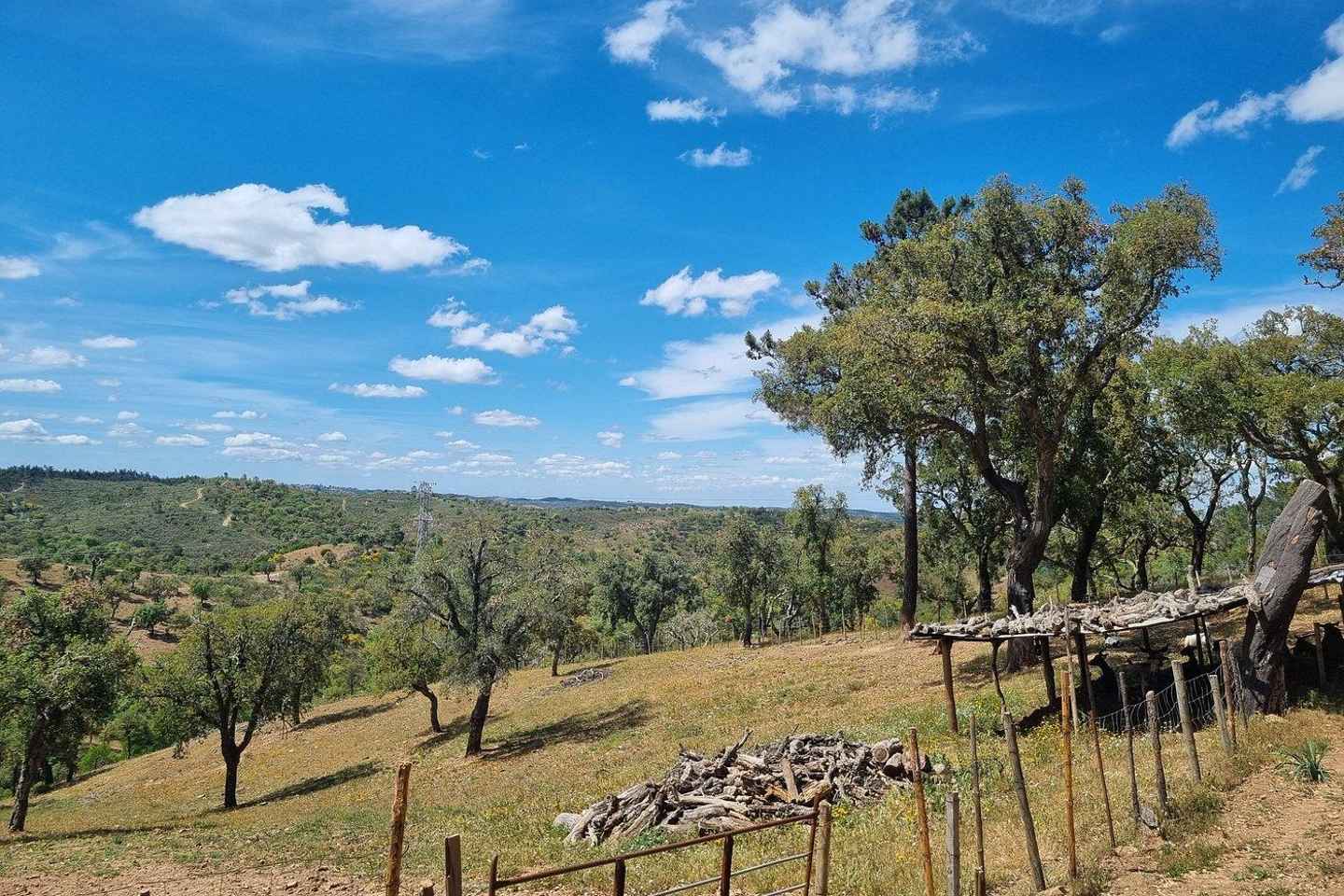 현지 염소 목동과 함께하는 힐링 산책