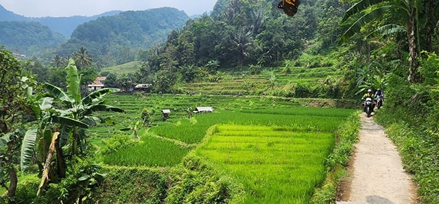 Jakarta: Guided Motorcycle Tour with Lunch and Coffee