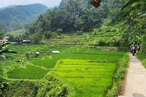 Jakarta: Guided Motorcycle Tour with Lunch and Coffee