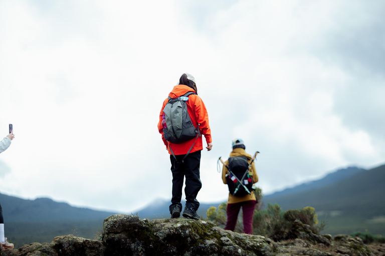 Moshi: Kilimanjaro Marangu or Shira Route Day Hike Moshi: Kilimanjaro Marangu Day Hike with Lunch