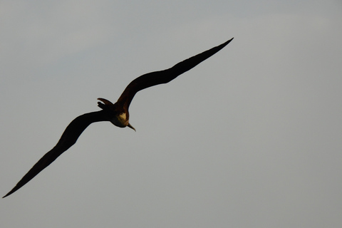 3-Day Galapagos Trip for Traveler Without Much Time