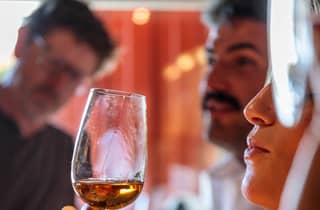 Lissabon: Tour durch die Weinberge von Carcavelos und Weinverkostung