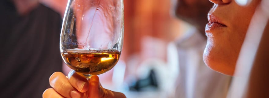 Lisbonne : visite du vignoble de Carcavelos et dégustation de vins