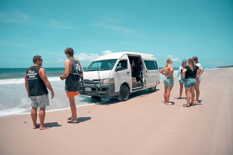 Excursion d&#039;une journée sur l&#039;île de Bribie depuis Brisbane