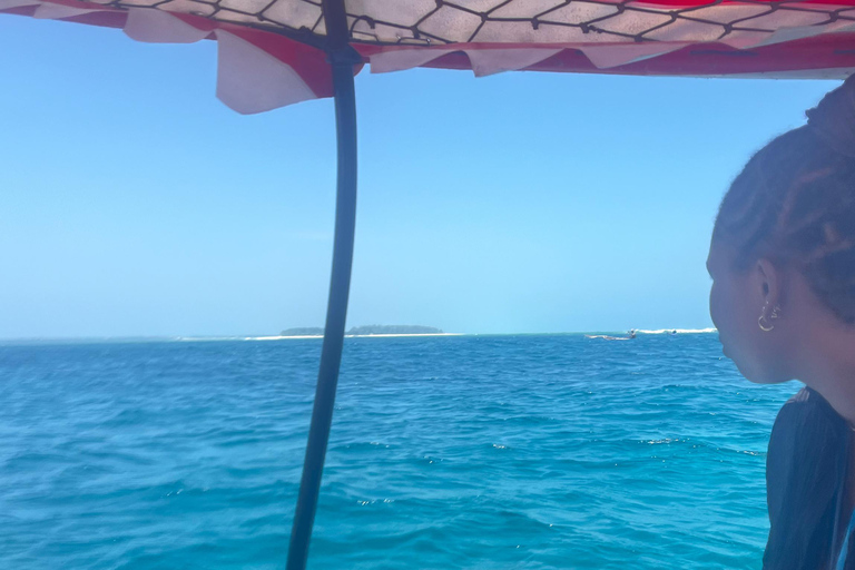 ZANZIBAR: SWIMMING WITH DOLPHIN AND SNORKELING