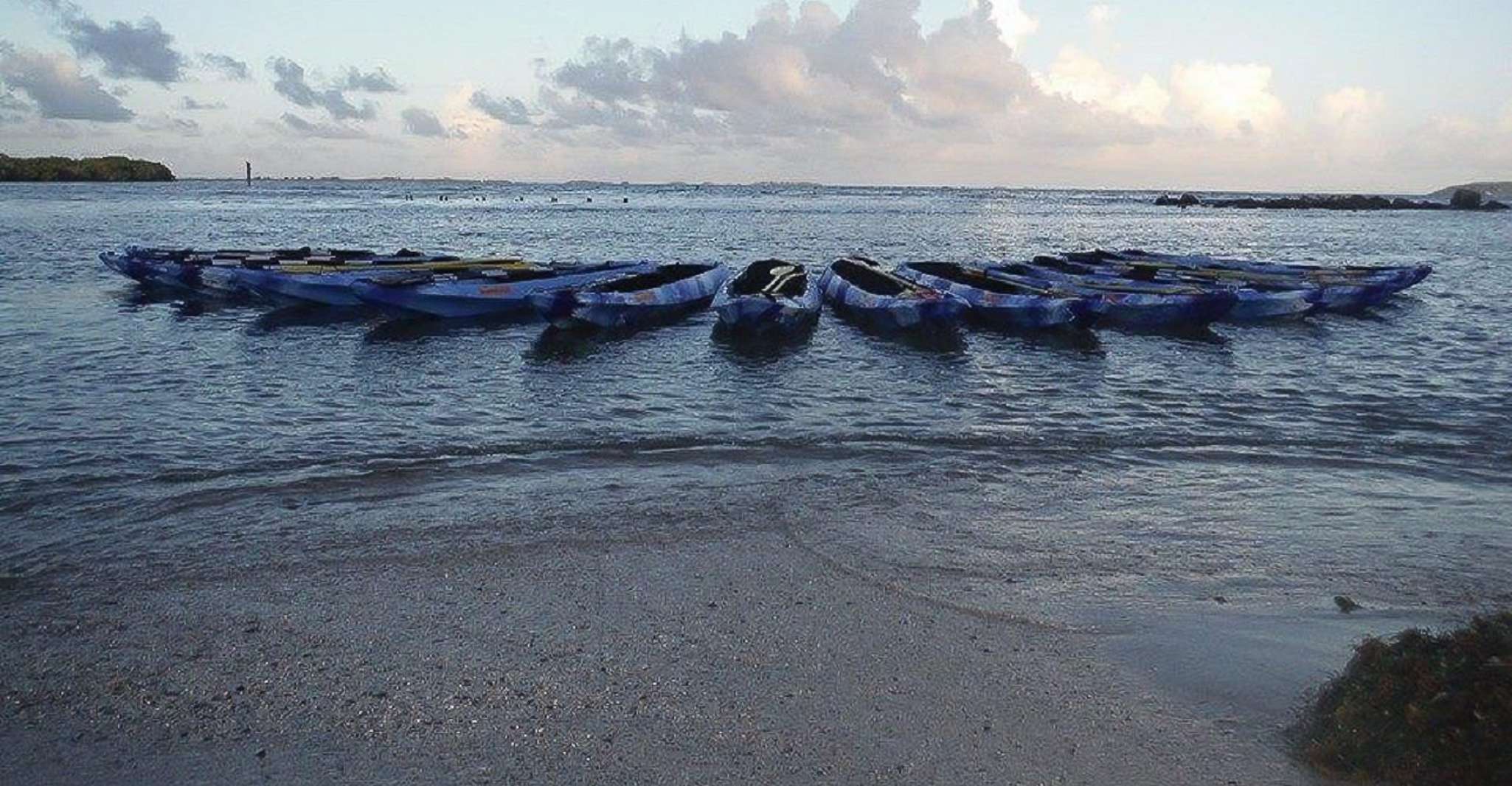 San Juan, Bioluminescent Bay Kayak Adventure by Night - Housity