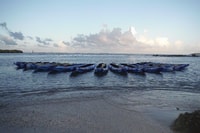 San Juan, Bioluminescent Bay Kayak Adventure di notte - Housity