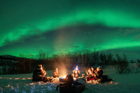 Tromsø: Adult Only Aurora hunt with Citizen Science
