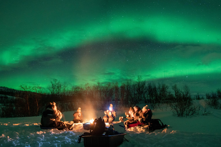 Tromsø: Adult Only Aurora hunt with Citizen Science