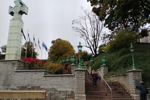 Individual excursion in Tallinn