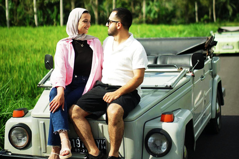 Ubud: Private Car Charter with Entry Fees Ubud Customizable Tour