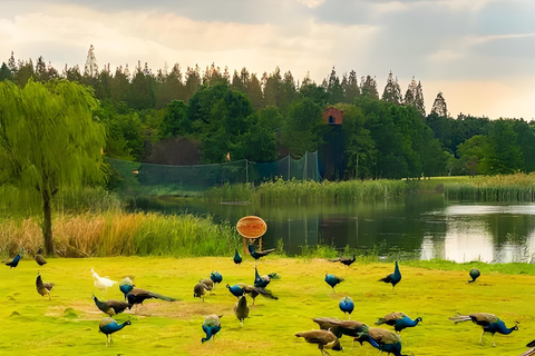 上海：崇明岛私人观光（含午餐）