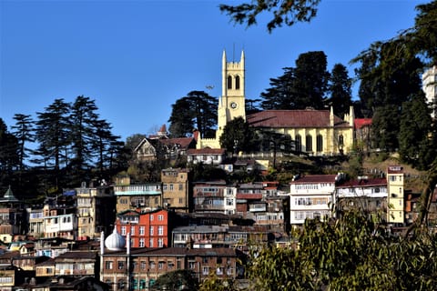 Delhi: Shimla and Manali 6-Day Tour