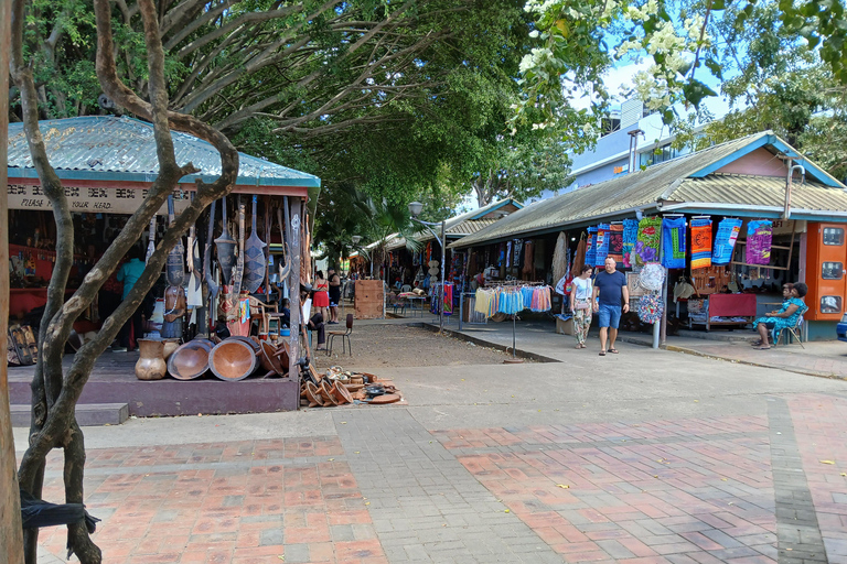 Fidżi: Odkryj Nadi dzięki wycieczce do gorących źródeł Sabeto i basenu błotnegoOdbiór z Fiji Marriott/Queens Wharf Lautoka/Tanoa Waterfront