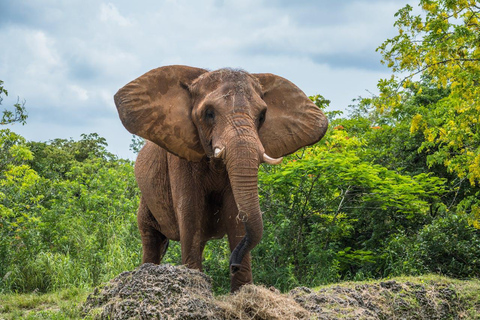 From Delhi: Taj Mahal Tour with Elephant Conservation Centre Private Tour with Driver, Car, Guide, Entry Fee and Lunch