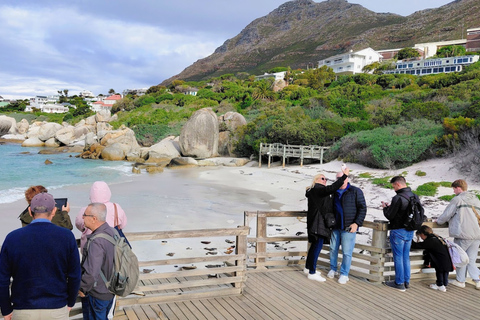 Cape Town: 2-Day Private Tour with Penguins, Safari & Wines