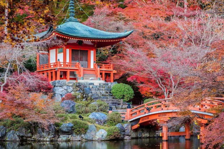 Kyoto Private Full-Day Guided Tour with customised itinerary