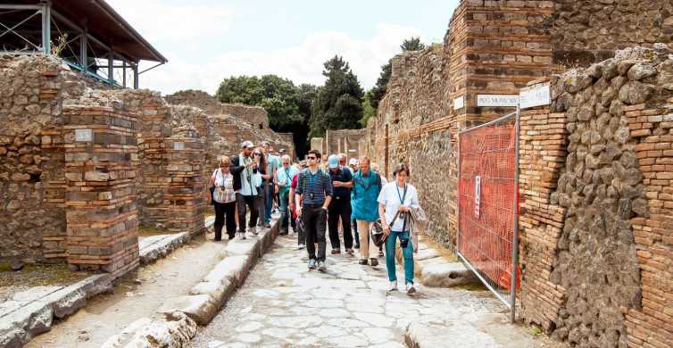 Fra Napoli: Dagstur til Pompeiis ruiner og vulkanen Vesuv