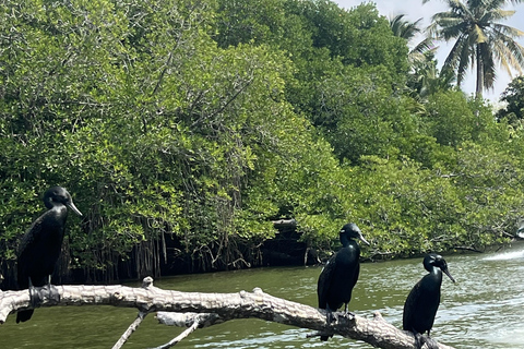 Galle Fort And Madu River Safari From Ahungalla