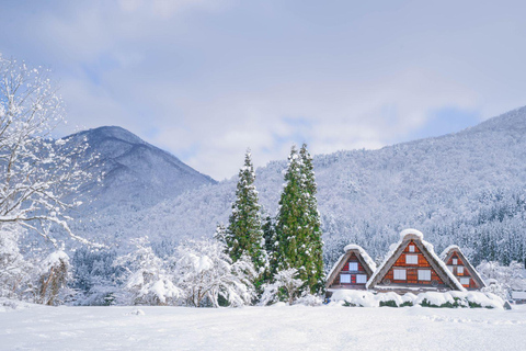 Ginzan Onsen &Zao Snow Monsters Winter 2-Day Tour From Tokyo Tokyo Station